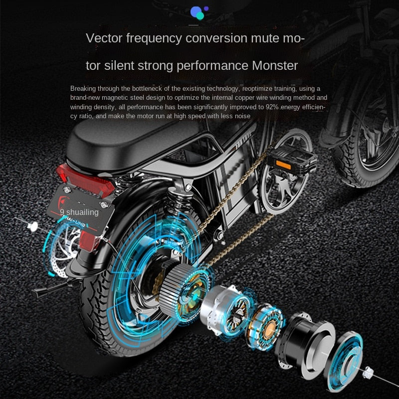 Folding bicicletta elettrica Shock Absorption E Bike