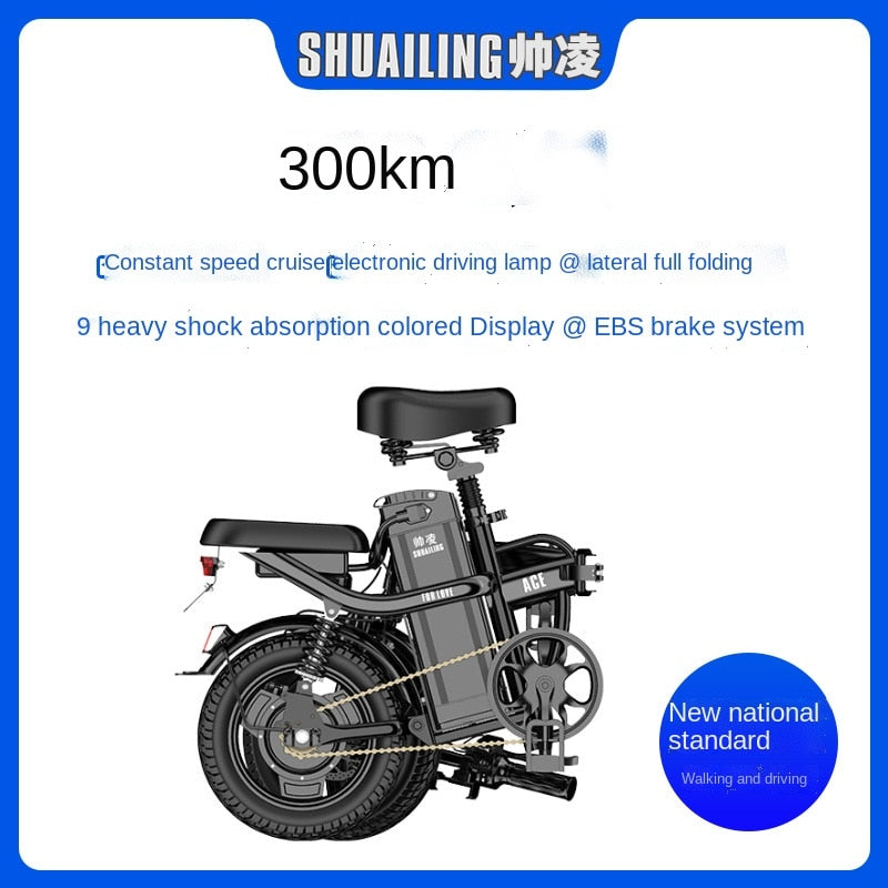 Folding bicicletta elettrica Shock Absorption E Bike